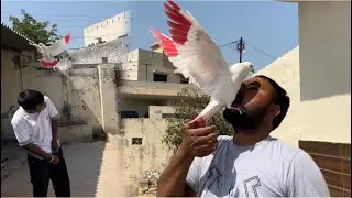 Udaan ty udaari da ajj test lyea | udaari sachiooo kmli nikli😜