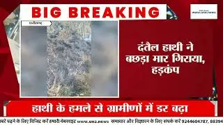 Balrampur Elephant Attack! Tusker elephant wreaks havoc