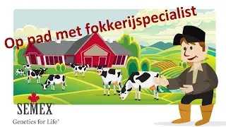 Semex Vlog: kalverdekjes voor meer groei