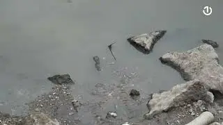 Jadransko - Jonska regija ujedinjena protiv plastičnog otpada