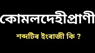 Mollusca meaning Assamese / mollusca meaning / komoldehi meaning