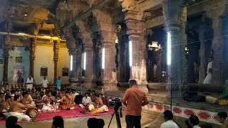 Carnatic live performance at Chidambaram Nataraja Temple  Arudra Darisanam