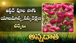Management Tips In Aster || ETVAnnadata