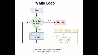 Python While Loop Explained – for, break, continue & Real Examples