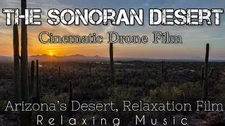 Paseo Cinematico Por El Desierto De Sonora En Phoenix,Arizona | Video Relajante Con Música Relajante