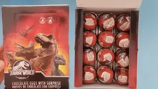 24 Surprise Eggs  Unboxing Dinosaur Eggs