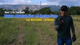 1.3 Hectare Farmlot with Streaming Clean Water
