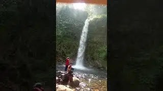 Cihalimun