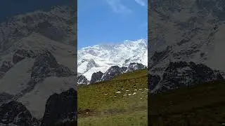 #touristattraction #qaqlashtmeadows #chitral #travel #peace #kabirafridi