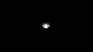 Bem vindo a Lotus!