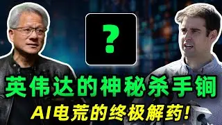 特斯拉弃子正成为英伟达悄悄下注的神秘杀手锏?这只从未上市的