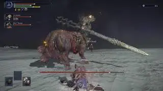 Nightreign Depth 5 Helping Noobs