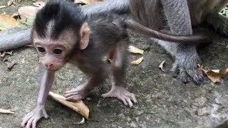 New Baby Born So Cute
