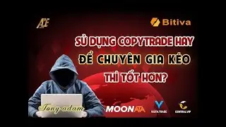 Ti&ecirc;u Ch&iacute; Lựa Chọn Chuy&ecirc;n Gia CopyTrade S&agrave;n Bitiva-TLCtrade-Moonata ... | K&eacute;o 1-1 C&oacute; Lừa Đảo Ko?