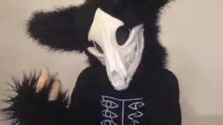 Furry Slang and what they mean!