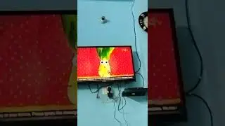 my new cartoon roots s' fruits episode