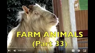 FARM ANIMALS   (Part 33)  Babies, Toddlers, Preschool, K-3
