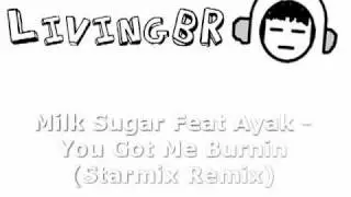 LivingBR - Electro House Compilation Various Artist