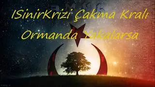 ISinirKrizi-Bakkal &Ccedil;ırağına Sopa