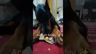 асмрр