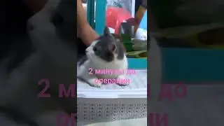 26 августа 2023 г.