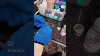 Blood smear (microscope) slide #viral #blood #microscope #wbcs #scienceclass #medical