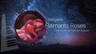 Flamants Roses Vangelis Live Cover By Germán Aguilar