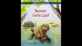 Beaver Gets Lost (With NF Info)