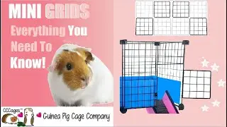 Mini Grids for C&C Guinea Pig Cages: A Quick Guide