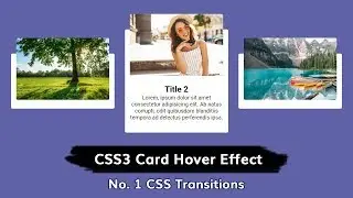 CSS Card Hover Effects | Html & CSS
