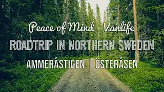 Roadtrip in Northern Sweden - Ammer&aring;n: Relaxing Vanlife Adventure with our Husky dog.