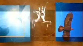 Nature intro (20th Anniversary) & funding credits / WNET logo / PBS ID (2001/1999/1998)