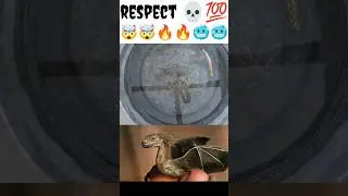 respect 💀💯 Baby Dragon 🐉🐲 Swimming in Water 🌊 #respect #trending #shorts