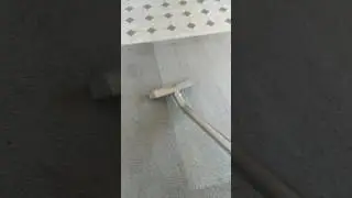 Cleaning carpet traffic lane video