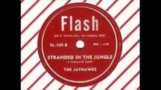 The Jayhawks - Stranded In The Jungle (FLASH) Original version