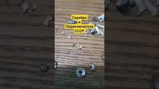 12 февраля 2024 г.