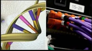 U.S. Intelligence Developing Better Storage To Hoard Your Data Based On Human DNA