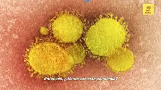 CORONAVIRUS en Pocas Palabras Trailer de NETFLIX