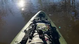 Paddleboarding (SUP) Exploration at Hillsdale Lake Bull Creek