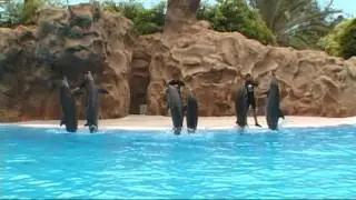2002 Tenerife   Part 2