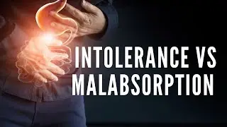 Intolerance VS Malabsorption - What Is The Difference?