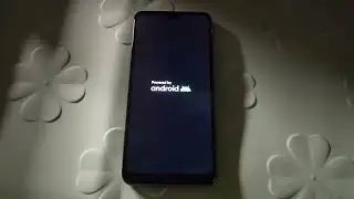 Nokia C210 - Startup/Shutdown
