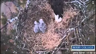 3/1/2015 Berry College Eagles Bonk, PS & Munchies