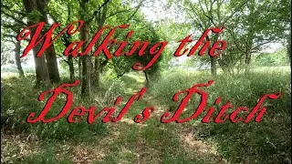 Walking Devil's Ditch | Norfolk Walks