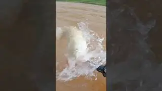 Such a big fish escaped😭😭😭😭🎣🎣. Fishing videos. #viral #fish #fishingtechniques #kokan #catchingfish