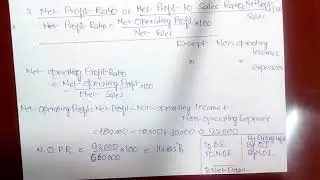 Net Profit Ratio