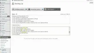 BackupBuddy Backup Process