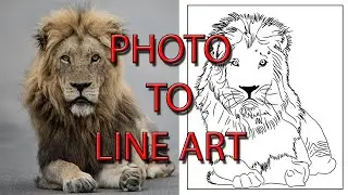 PHOTO TO LINEART (LION)