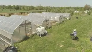 UK Research Shows the Benefit of Therapeutic Horticulture on Women Who've Experienced Violence