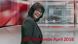 Susanne f&uuml;r die Scheurebe